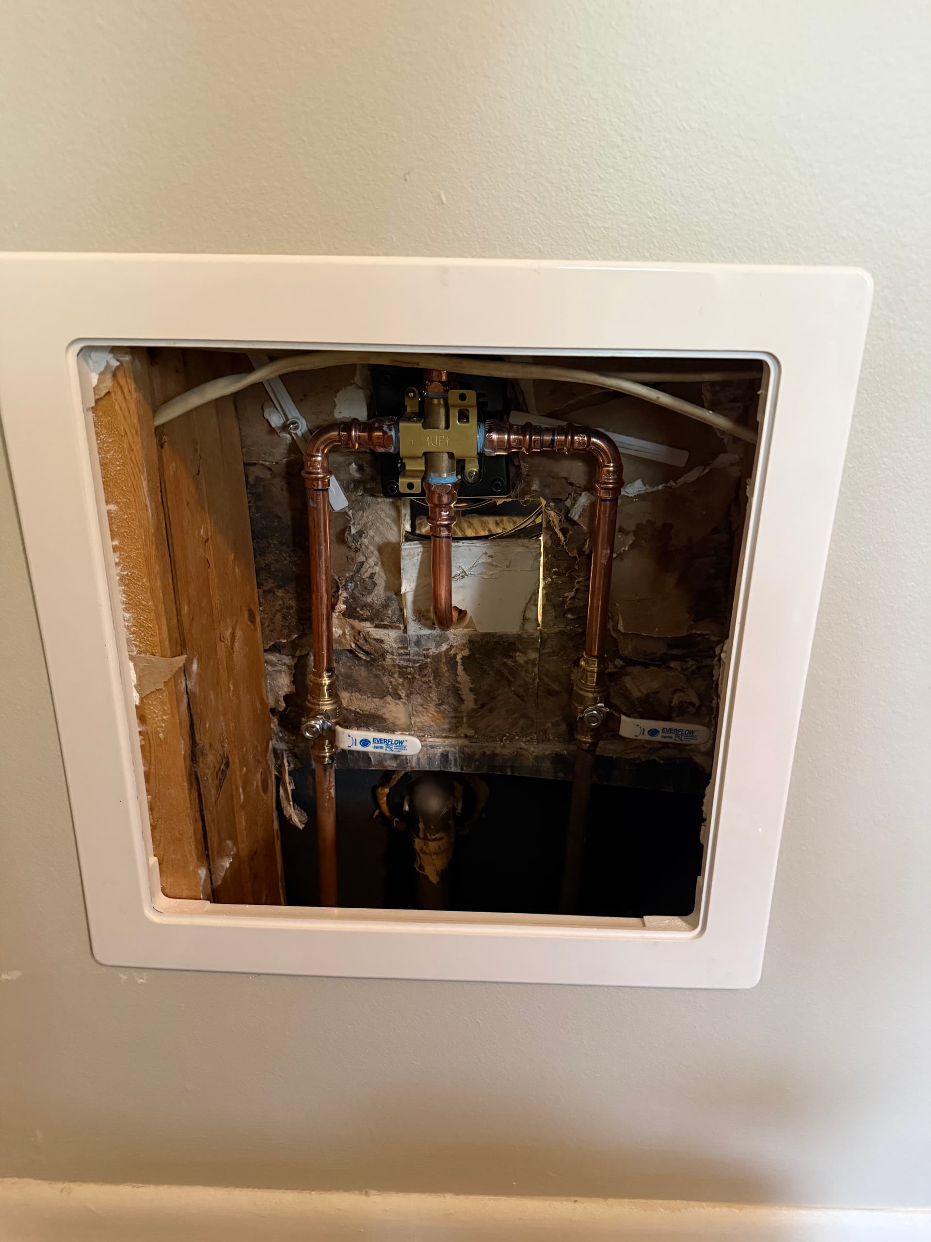 What's Actually Behind Your Shower Wall image