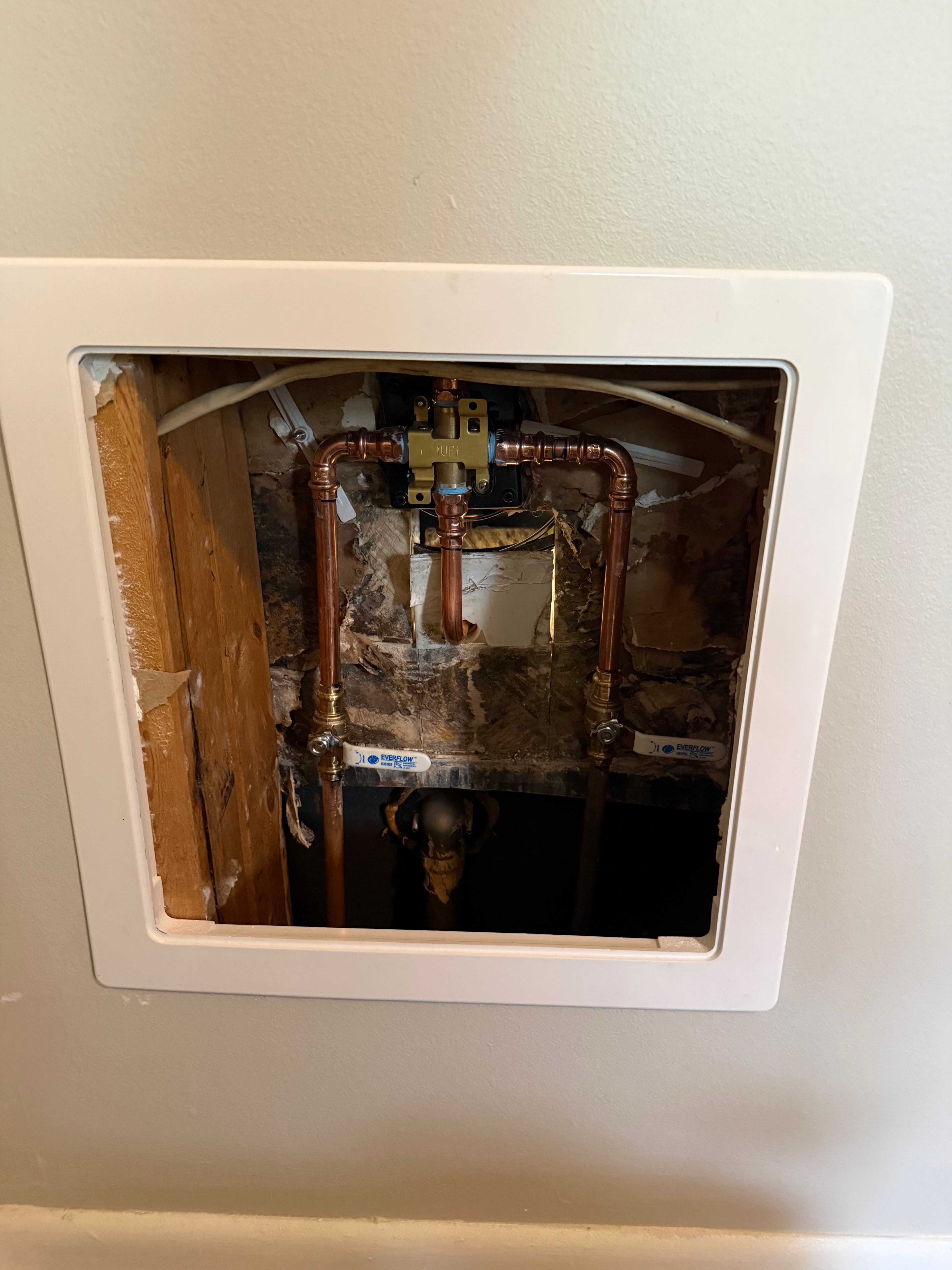 Project What's Actually Behind Your Shower Wall image