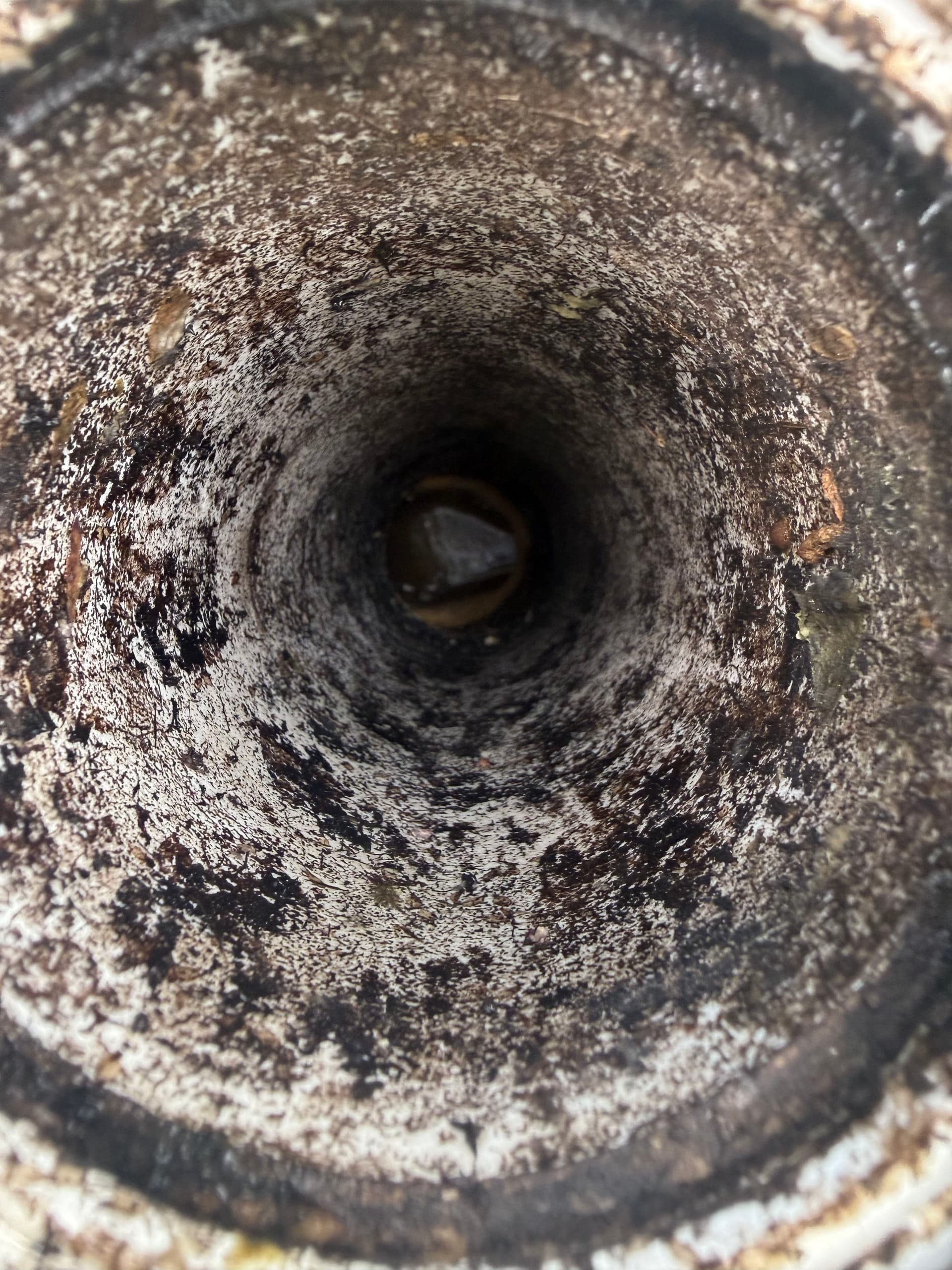Why a Septic Inspection Should Be Non-Negotiable When Buying a Home image