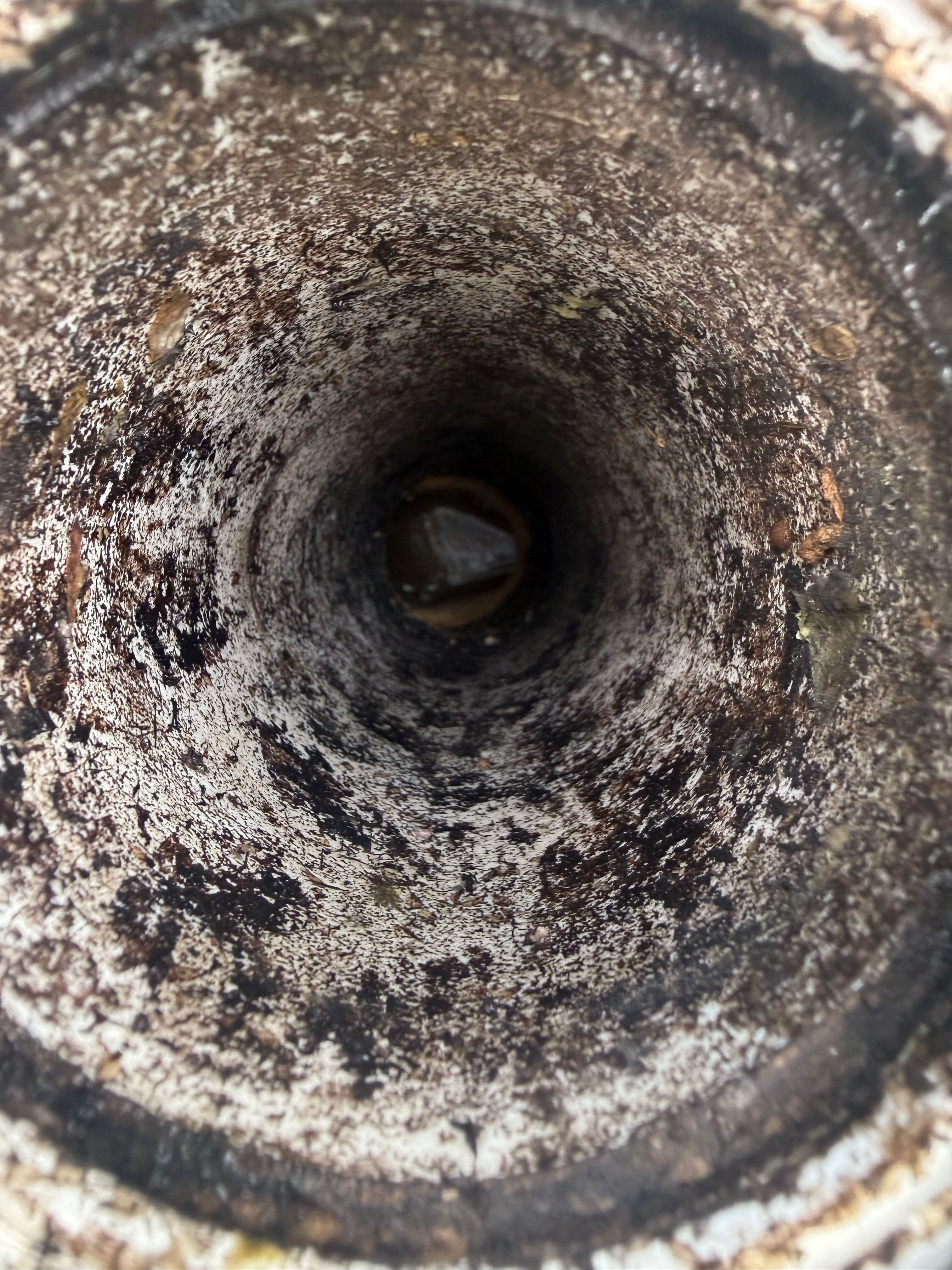 Project Why a Septic Inspection Should Be Non-Negotiable When Buying a Home image