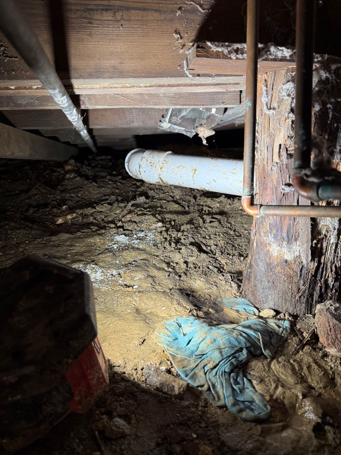 Gallery photos for Nashville Rusted Pipe Replacement Success: Image #1
