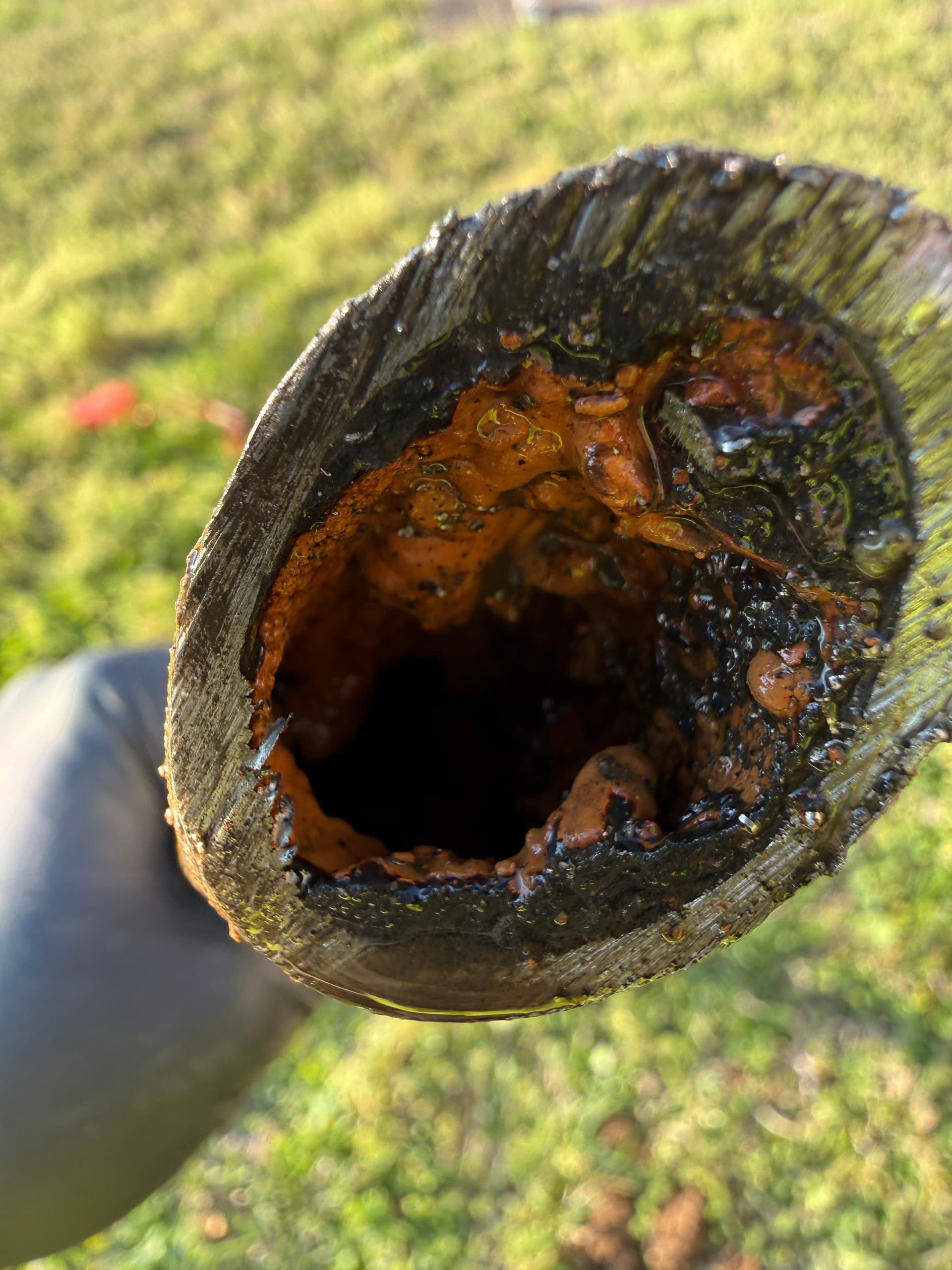 Solving Rusty Pipe Woes for Better Water Pressure image