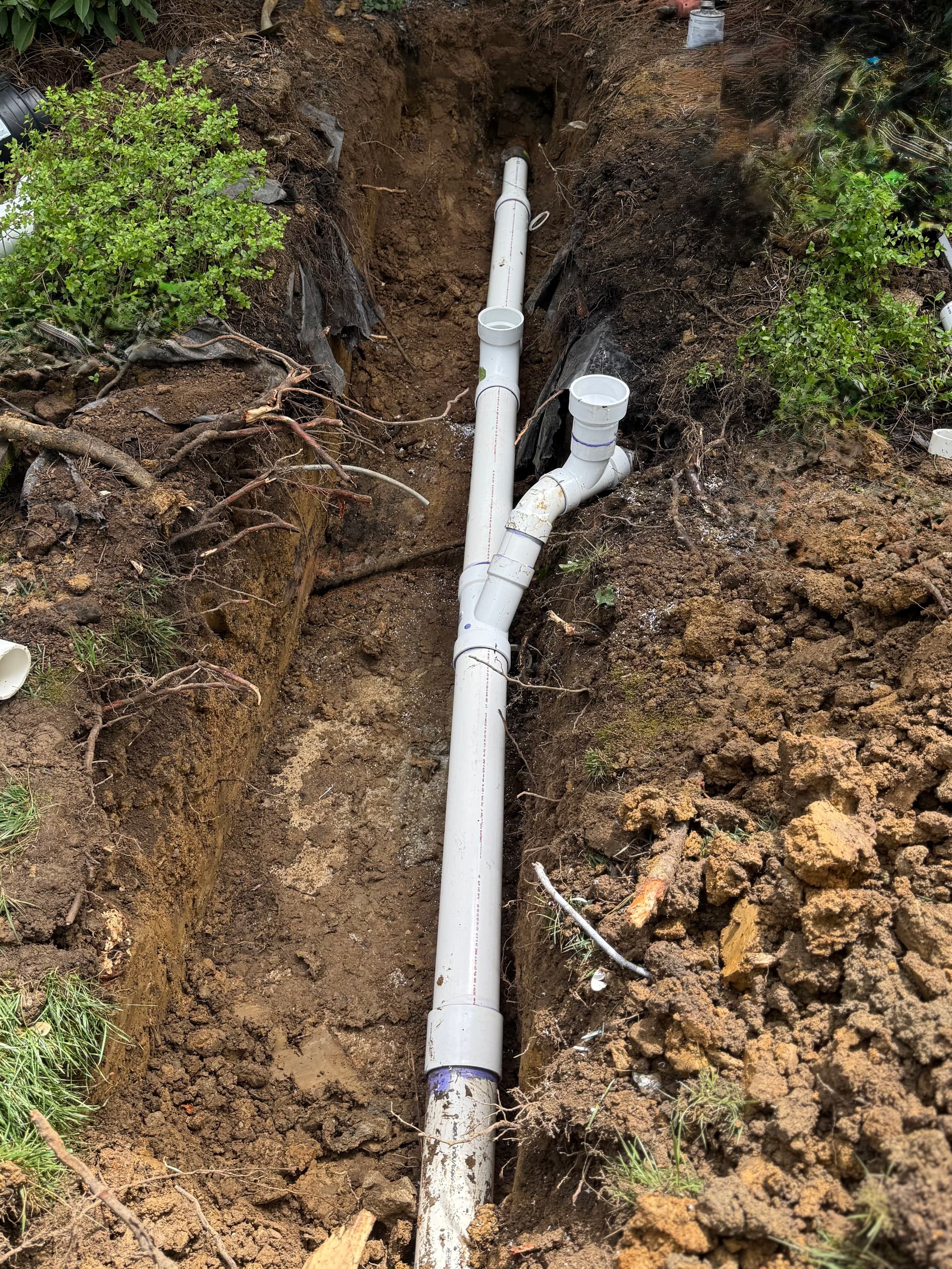 Root Intrusion Fixed with Sewer Line Repair and Cleanout Installation image
