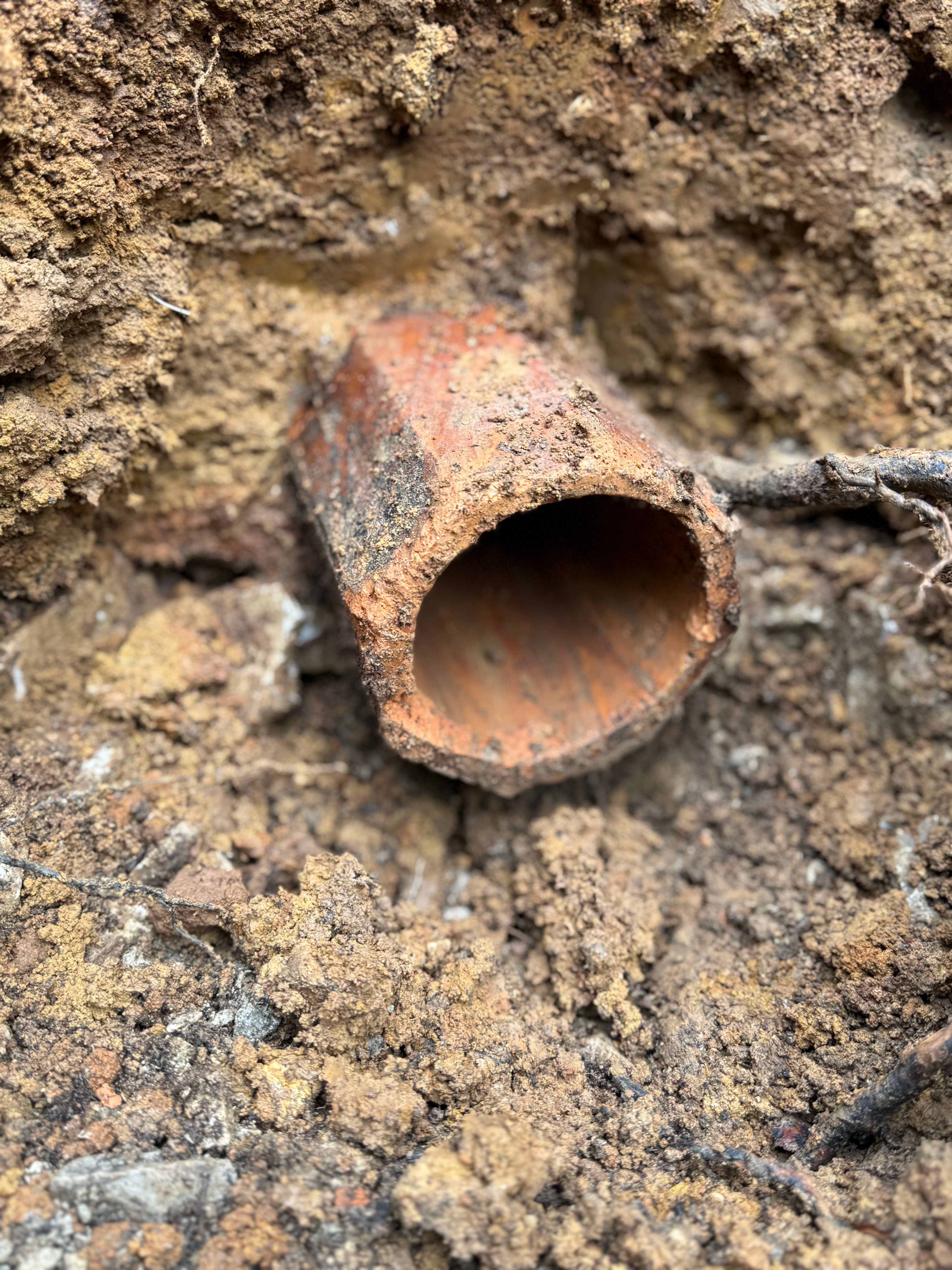 Project Discovering History During a Sewer Repair image