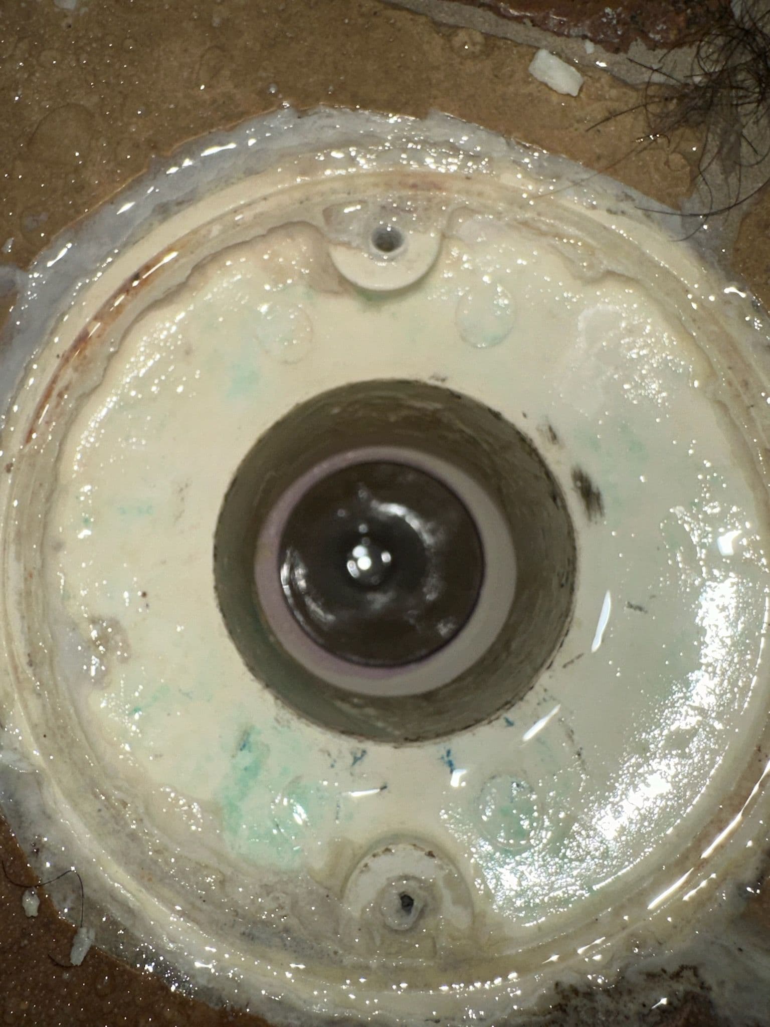 Project  Nashville Shower Drain Rescue image