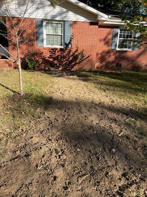 Root Infestation Solved with Sewer Line Repair in Manchester