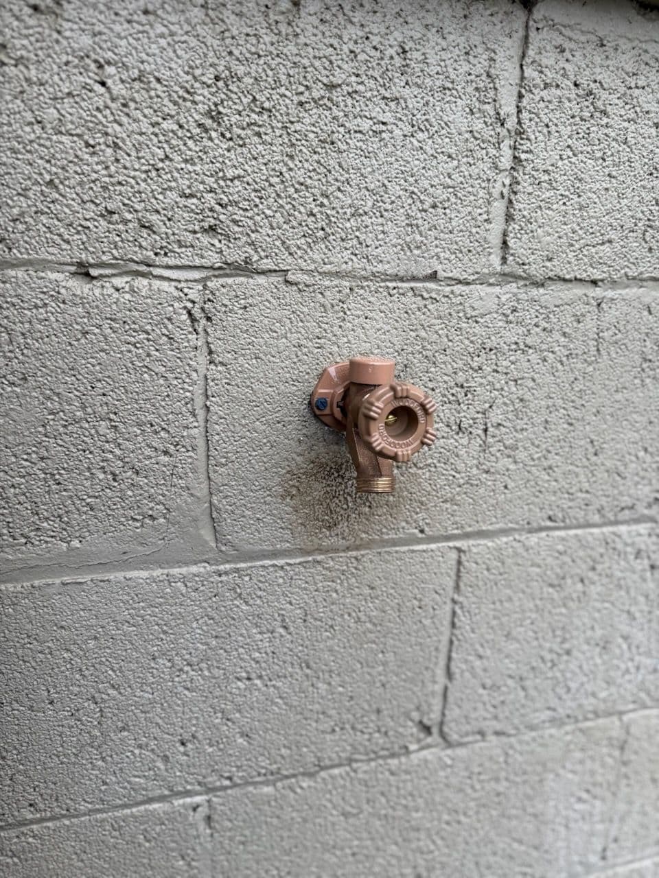 Project Hose Bib and Toilet Replacement in Nashville image