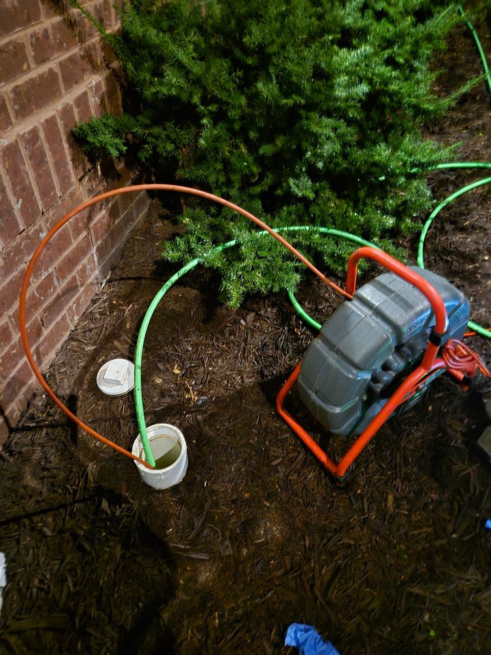 Garden maintenance equipment with hoses and a pump beside a shrub.