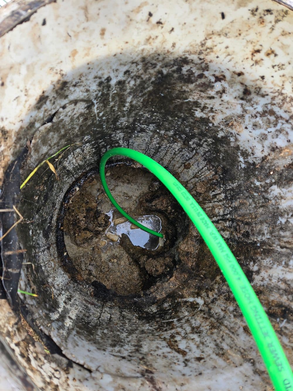 Close-up of a dirty bucket showing water and a green hose inside.